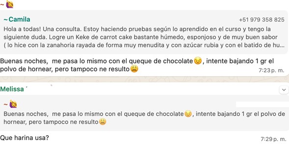Chat camila